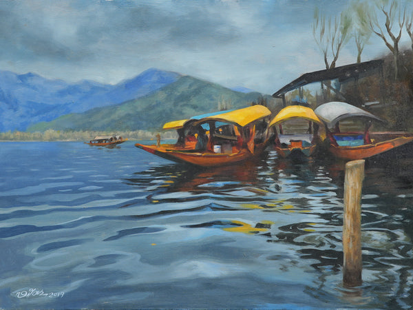 Reflections of Kashmir (2019)